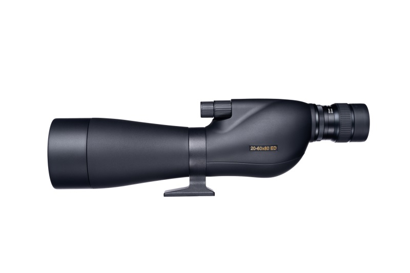 20 60x80 FOREMAN ED S